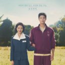 [드라마추천] 2025년 최고의 감동, '폭싹 속았수다' 16부작에 담긴 제주도의 사계와 애틋한 인생 서사