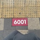 (주)가인상사 동탄점 | [강남 파고다원] 성인 1 대 1 영어회화 추천_ 솔직 수강 후기 / 강사 후기 / 수업방식 소개