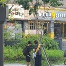 전도 버스정류장 옆 이미지