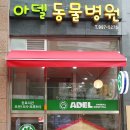 아델 동물병원 이미지