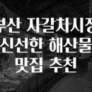 부산자갈치 이미지