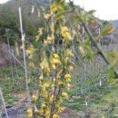 햇살 농장 이미지