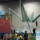 용인대백호태권도 이미지