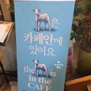 양  수 | 홍대 양카페 땡스네이쳐｜양과 함께 커피 한잔할 수 있는 이색카페 후기