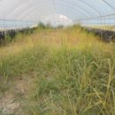 운암리구여동마을회관 이미지