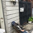 스윗커피 - 목포시 용당로 322-1 | 스윗커피