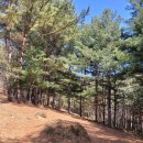 보은삼거리 | 속리산 천왕봉 최단코스 도화리 방면 솔직 후기