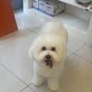 트리트멍트 이미지