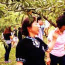 양명초교 이미지