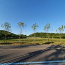 미니스톱 난지2점 이미지