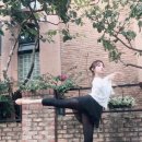 성소 카카오 검색결과