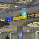 여주종합운동장 | 서울에서 여주 가는 법 고속버스(+소요시간)