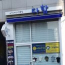 애견멀티샵 이미지