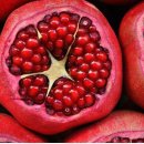 힐링 안마원 이미지