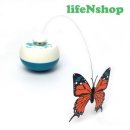 날으는고양이 이미지