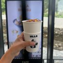 추산 | [울릉도 여행후기] 울릉도 추산 고릴라바위 송곳산 뷰맛집 카페울라(+울라웸컴하우스)
