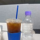 첫 인턴과 동시에 고시원에 갇힌 앵무새 생활 &amp; 나 혼자 어노인팅 목요예배 첫 도전!