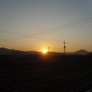 일출농장 이미지