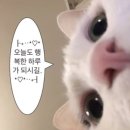 차앤유의원 네이버블로그