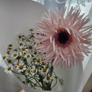 핑크바니 | [Wedding] 7. 스튜디오 촬영 헤어변형: 바니메이크업 솔직한 추천 후기!