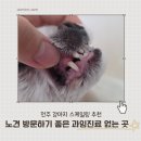 미소동물병원 | 전주 ｜ 하나동물병원 ｜ 전주 송천동 금암동 과잉진료 없는 스케일링 잘하는 동물병원