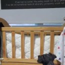 고쳐줄개 이미지