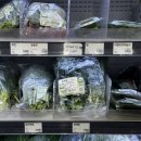 333 | ‘한살림‘ 나의 개미지옥 333 내돈내산 후기