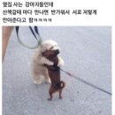 HAPPY 카카오 검색결과