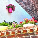 컴포즈커피 계산DS점 앞 | 컴포즈 바닐라 크림라떼 오픈런/품절대란! "이게 2,900원이라고?" 스타벅스 블글라 뺨치는 맛❤️