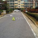 풍덕천로30번길 Daum카페