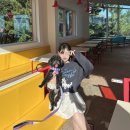 스타일좋개 | 소이렌 위글 스웨트셔츠 맨투맨, 강아지와 산책 할때도 데일리로 편안하게🐶🖤✨