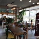 Kim's호두과자카페(cafe)