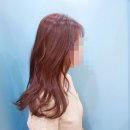 칼리헤어 이미지