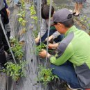 이재구농장 이미지