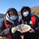 씨유거제학동몽돌점