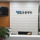 배선생펫스토리동물병원 이미지