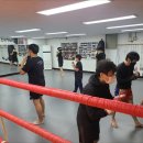 한국체육관 이미지