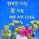 건강하세요