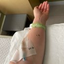 신수정식당 | 내가 키워본 계정들, 반려 SNS 키우는 이유