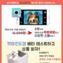 펫마인드 이미지