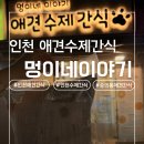 애견이야기 | 인천 애견 수제간식, 진심이 담긴 멍이네 이야기 후기