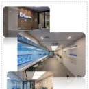 경희대라이언태권도 이미지