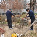 제주 폭낭공원 말 조형물 녹 제거 및 광명단 칠 작업 실시 이미지