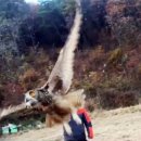 전북야생동물구조관리센터 이미지