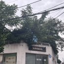 심용섭십장생한의원 이미지