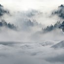 김종행정사사무소 이미지