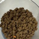 부천준동물병원 이미지