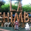 나엘농장 이미지