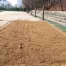 대구천내초등학교 이미지