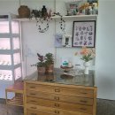 바다텃밭 Lab 이미지